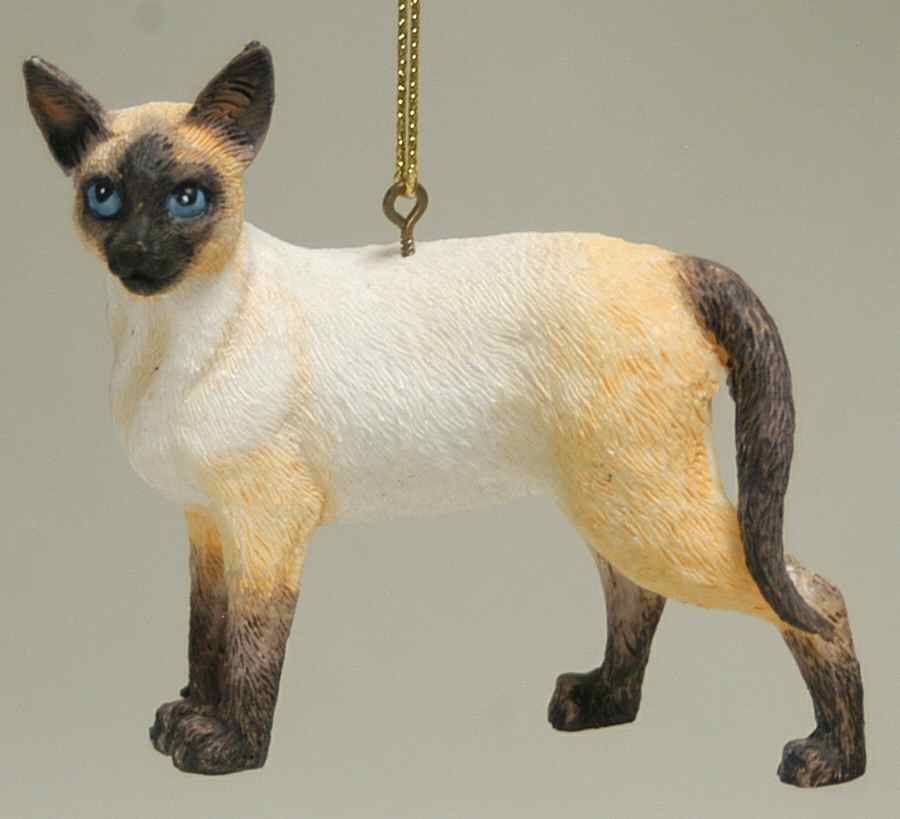 It's Raining Cats & Dogs Siamese  - No Box by Joseph Warren Miller-1