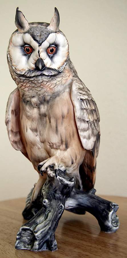 Birds Great Horned Owl - Boxed by Kaiser-1