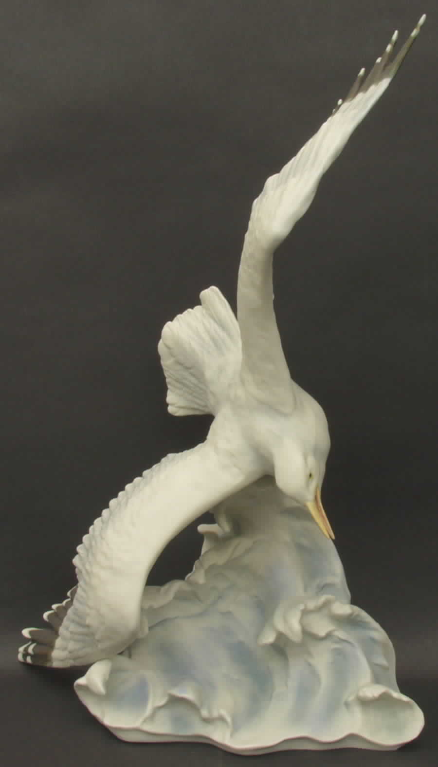 Birds Herring Gull-Color - No Box by Kaiser-1