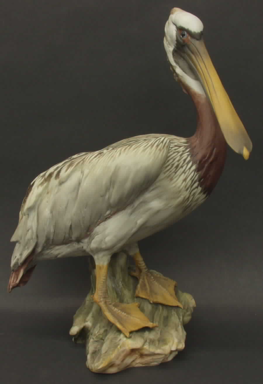 Birds Brown Pelican - With Box by Kaiser-1
