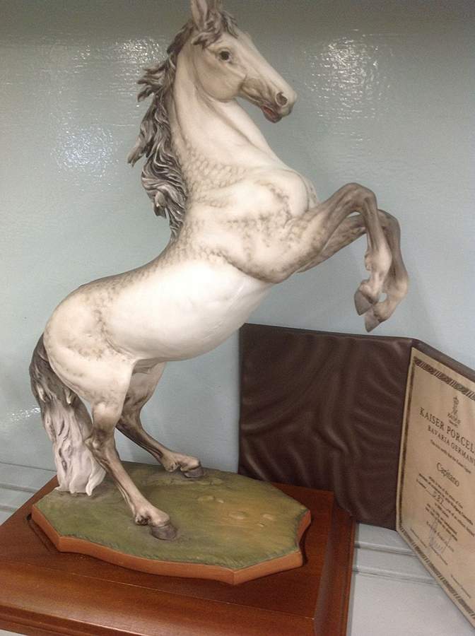 Horses Capitano (Colored Bisque) - Boxed by Kaiser-1