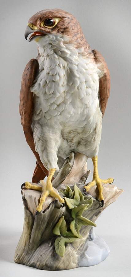 Birds Peregrine Falcon - No Box by Kaiser-1