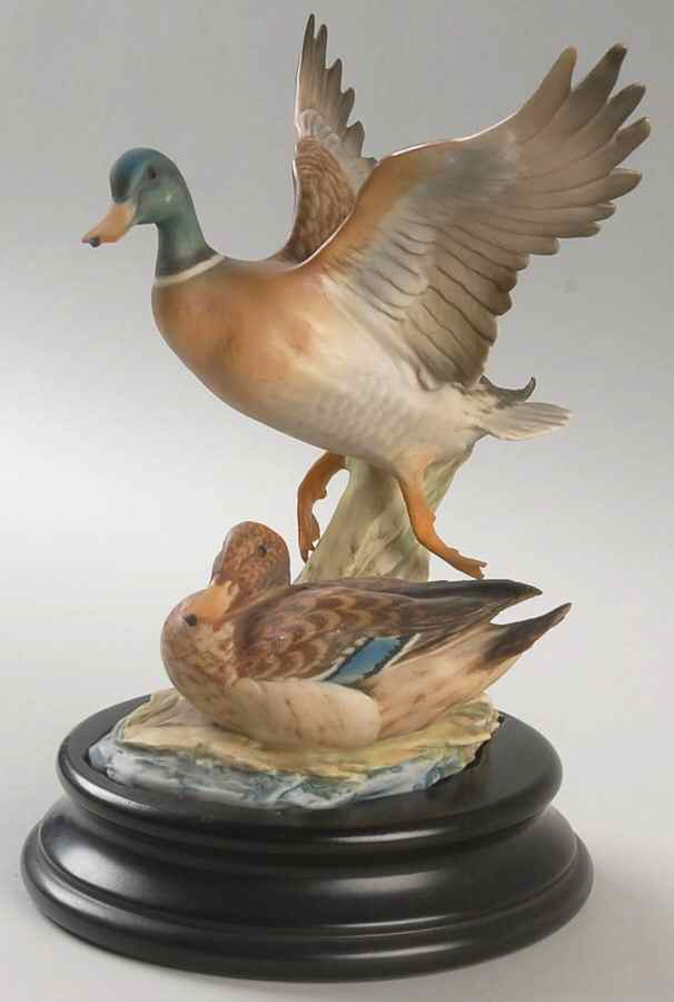 Birds Drake And Duck - Boxed by Kaiser-1