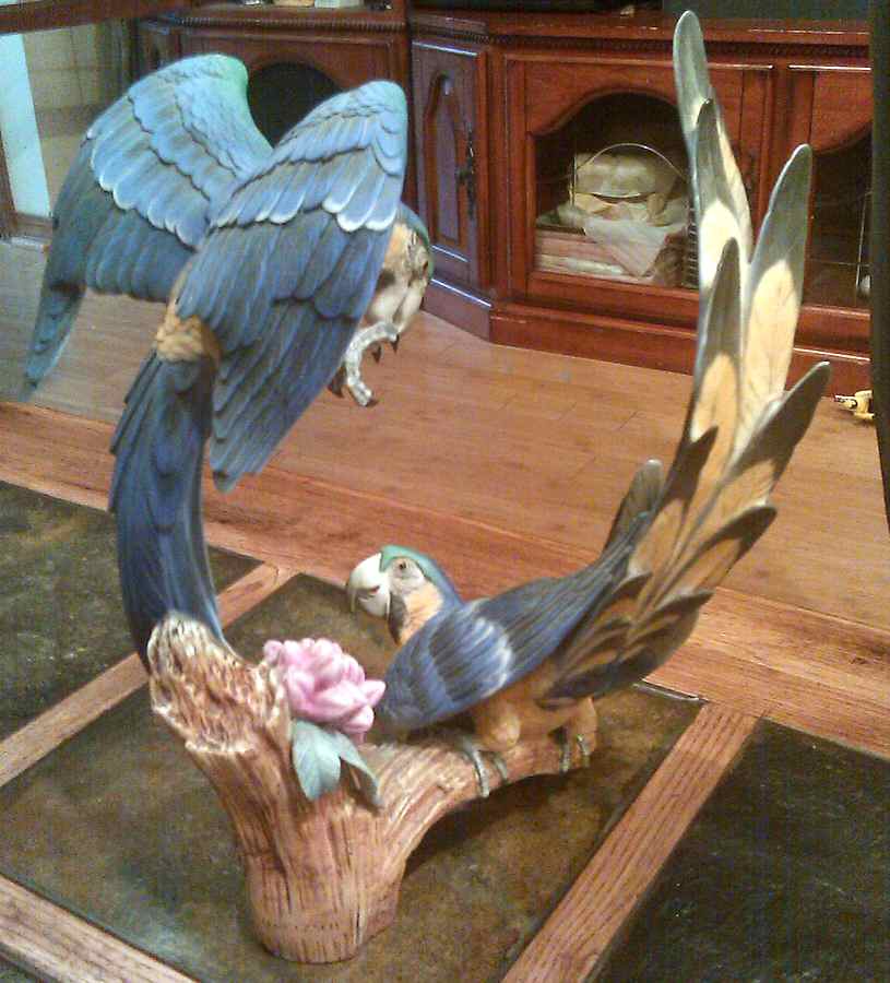 Birds Parrot Group (Colored Bisque) - Boxed by Kaiser-1