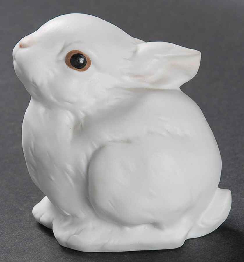 Rabbits Sitting Rabbit-Colored Eye - Boxed by Kaiser-1