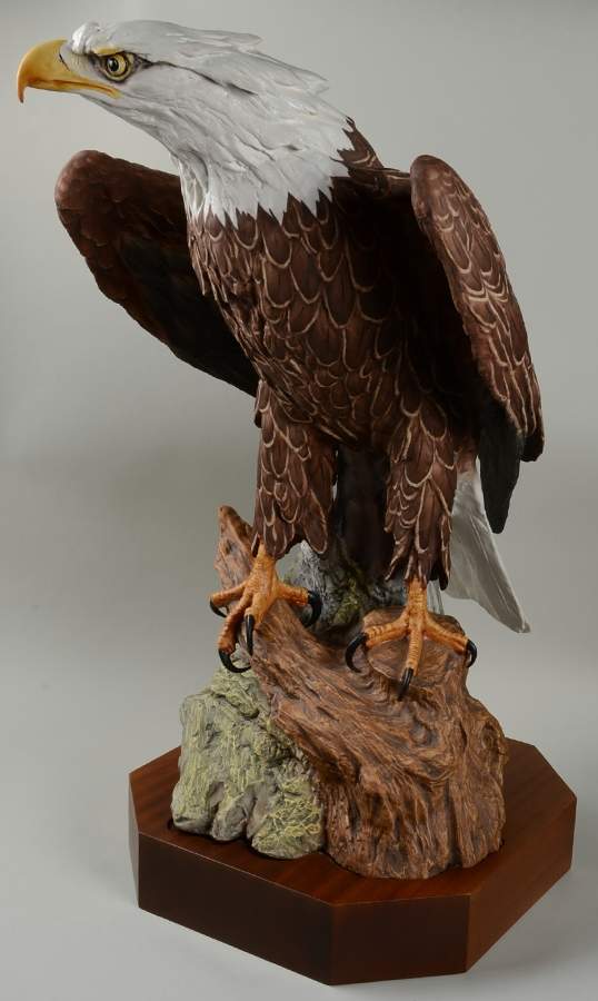 Birds Bald Eagle Vii - Boxed by Kaiser-1