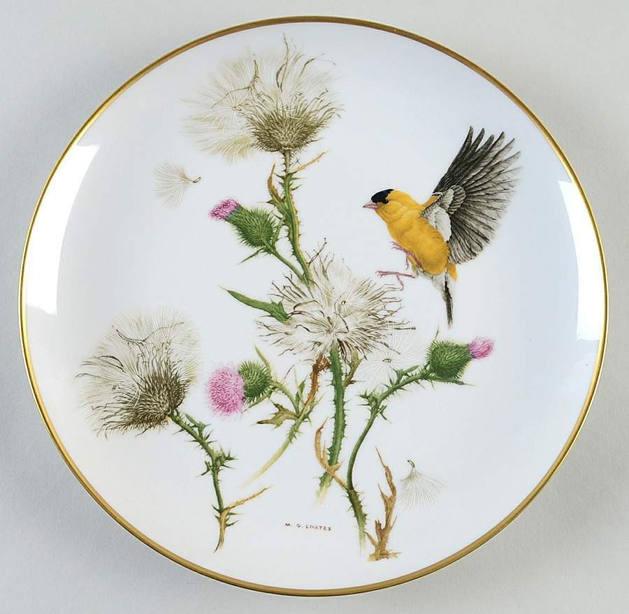 Feathered Friends Goldfinch - Boxed by Kaiser-1