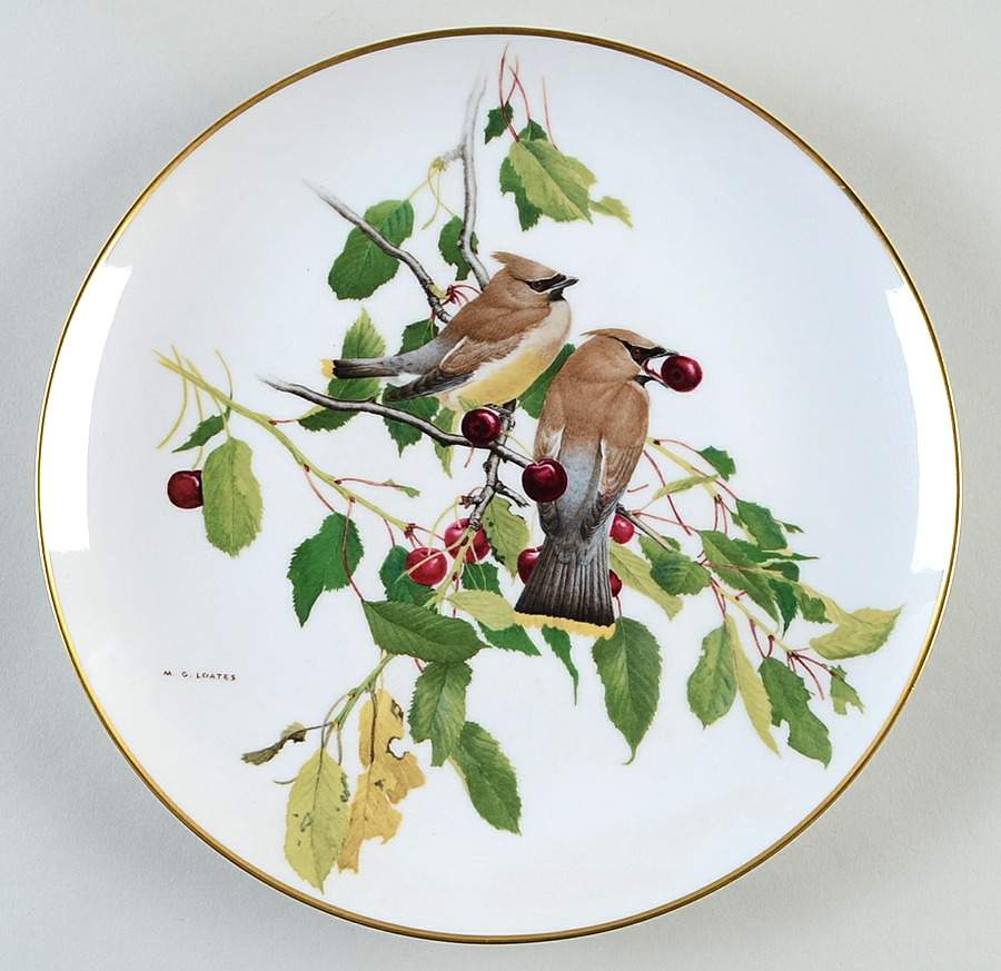 Feathered Friends Cedar Waxwings - Boxed by Kaiser-1
