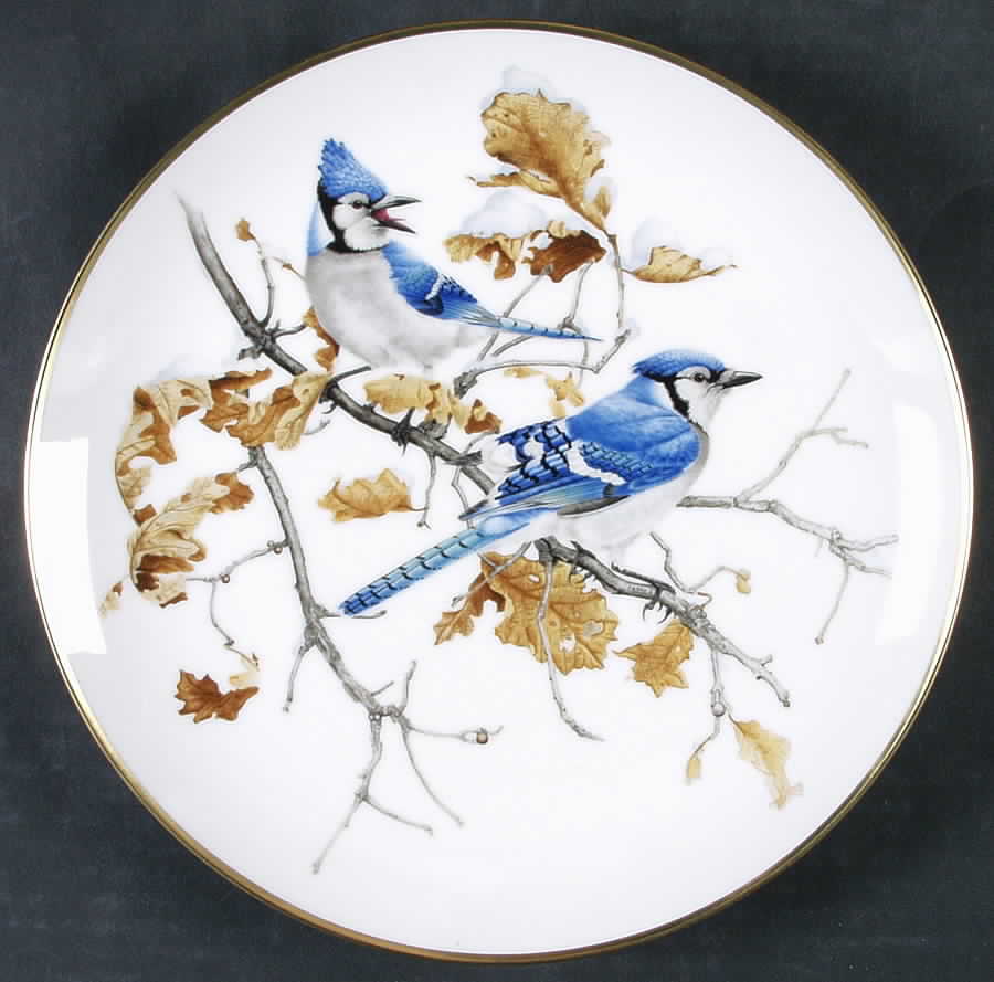 Feathered Friends Blue Jays - No Box by Kaiser-1