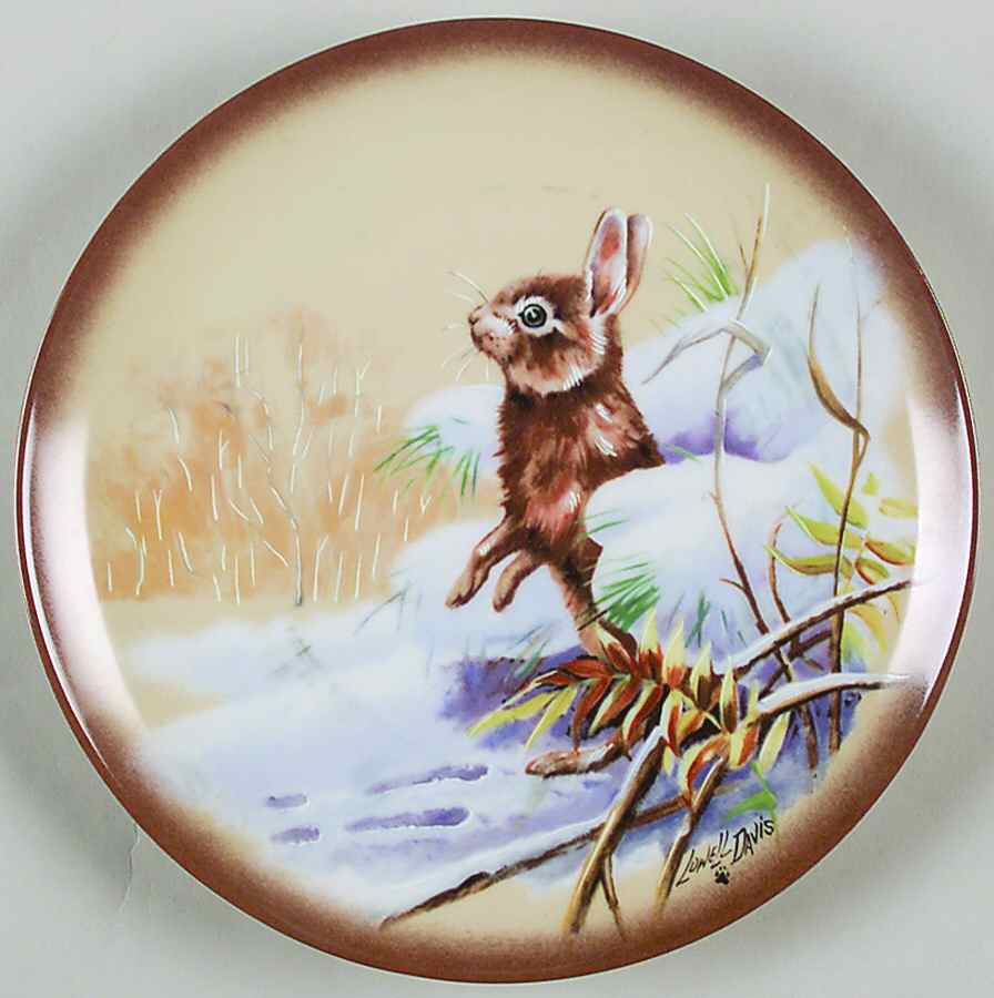 The Little Critters Cottontail Rabbit - Boxed by Kaiser-1