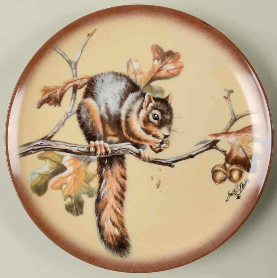 The Little Critters Fox Squirrel - Boxed by Kaiser-1