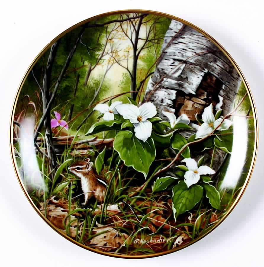 Wild Flowers Trillium - No Box by Kaiser-1