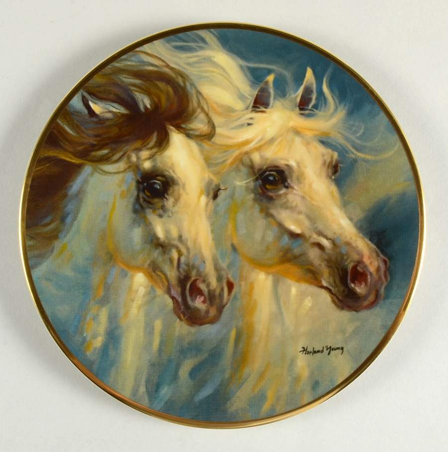 Horses of Harland Young Arabians - Boxed by Kern-1