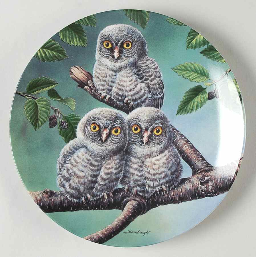 Baby Owls of North America Out On A Limb:Great Gray Owls - Boxed by Edwin Knowles-1