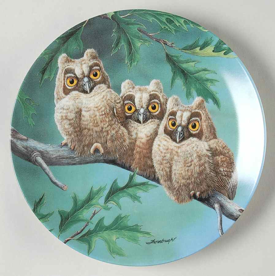 Baby Owls of North America Three's Company:Long Eared Owls - Boxed by Edwin Knowles-1