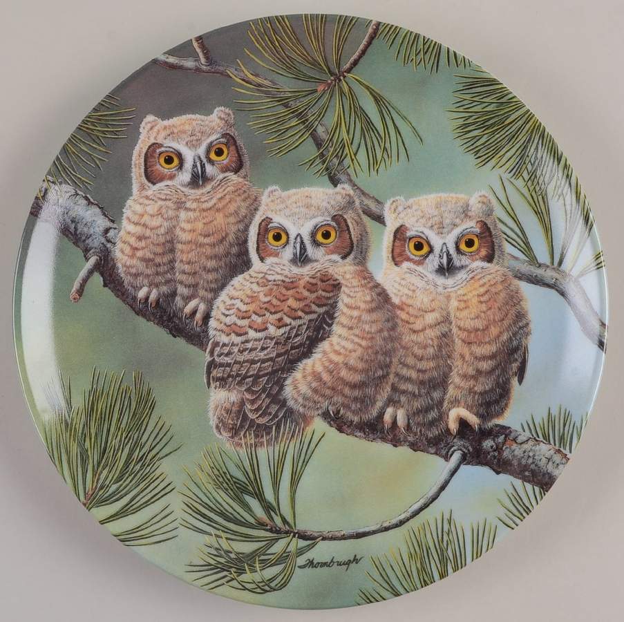 Baby Owls of North America Three Of A Kind:Great Horned Owls - Boxed by Edwin Knowles-1