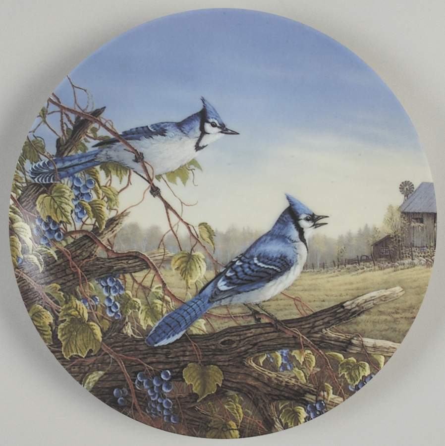 Birds of The Seasons Blue Jays In Early Fall - Boxed by Edwin Knowles-1