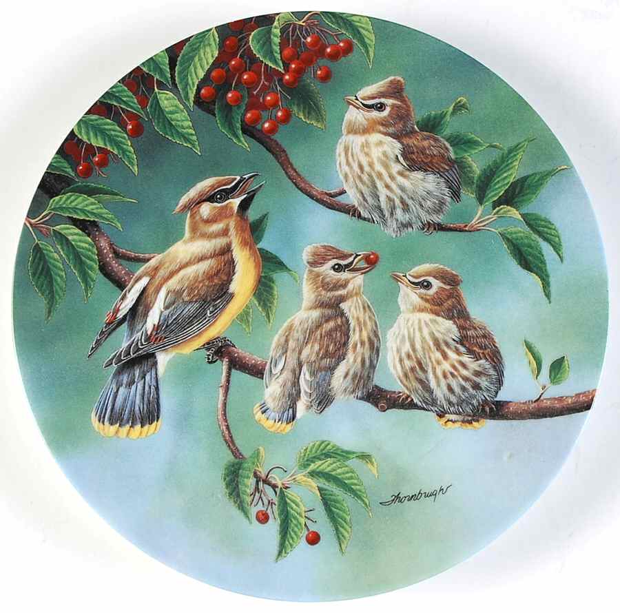 Backyard Harmony The Morning Harvest - Boxed by Edwin Knowles-1