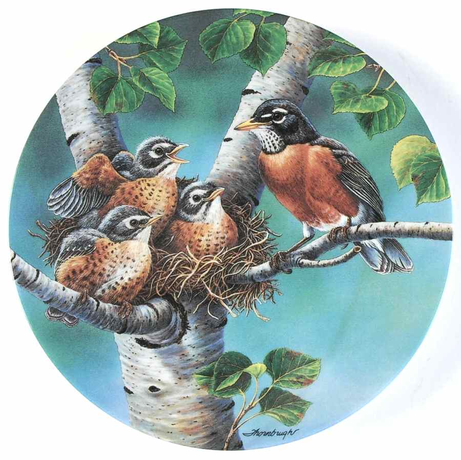 Backyard Harmony Springtime Pride - Boxed by Edwin Knowles-1