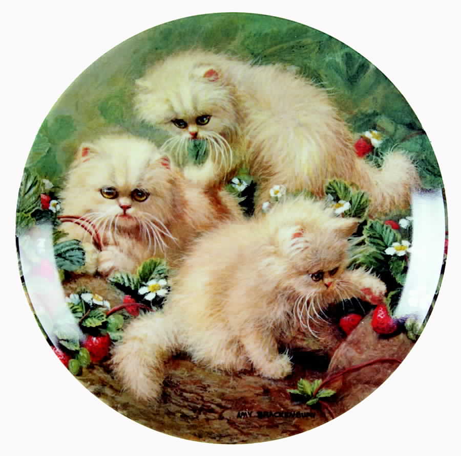 Cat Tales Strawberries & Cream:Persians - Boxed by Edwin Knowles-1