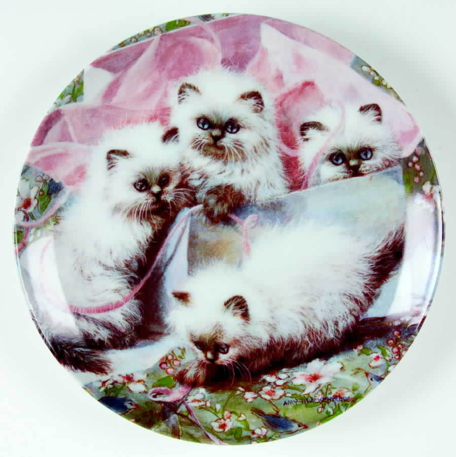 Cat Tales All Wrapped Up:Himalayans - Boxed by Edwin Knowles-1