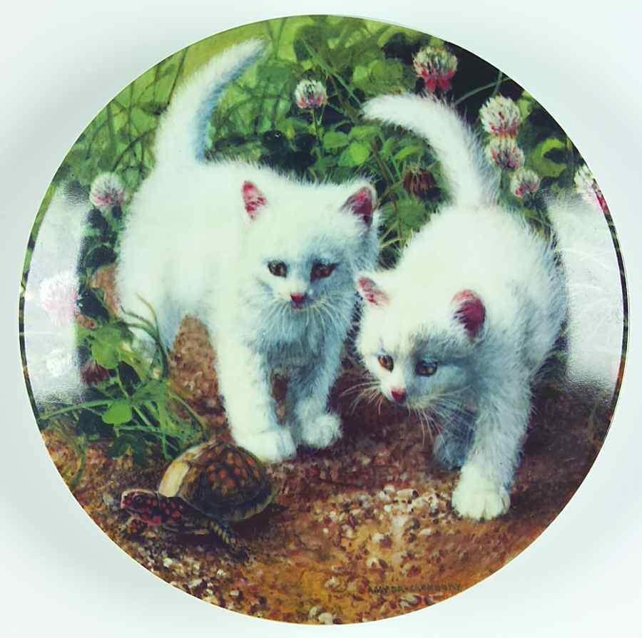 Cat Tales Chance Meeting:White American Shorthairs - No Box by Edwin Knowles-1