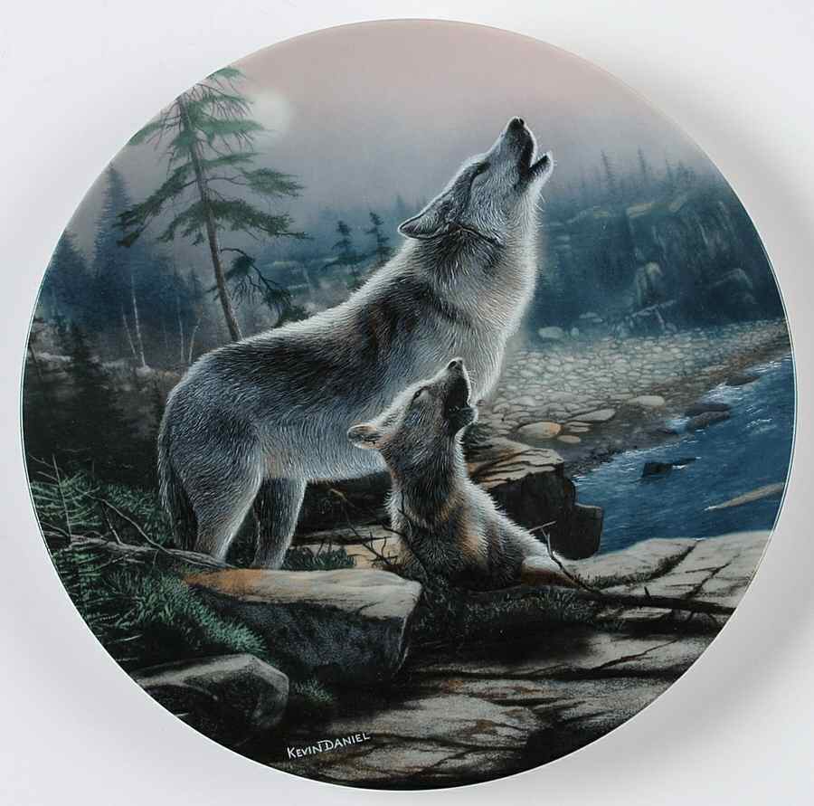 Call of The Wilderness Howling Lesson - No Box by Edwin Knowles-1