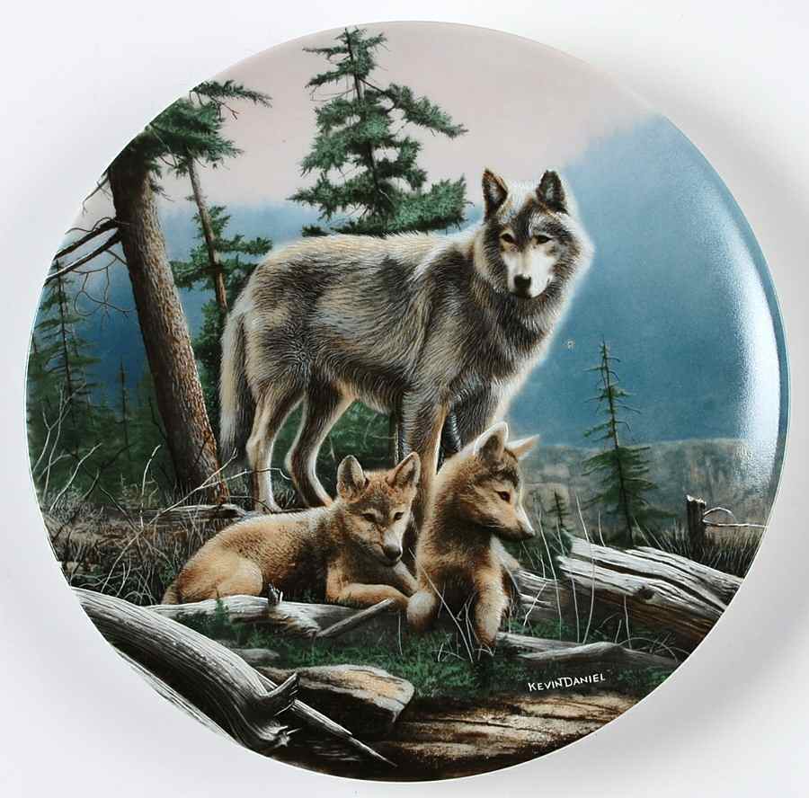 Call of The Wilderness First Outing - No Box by Edwin Knowles-1
