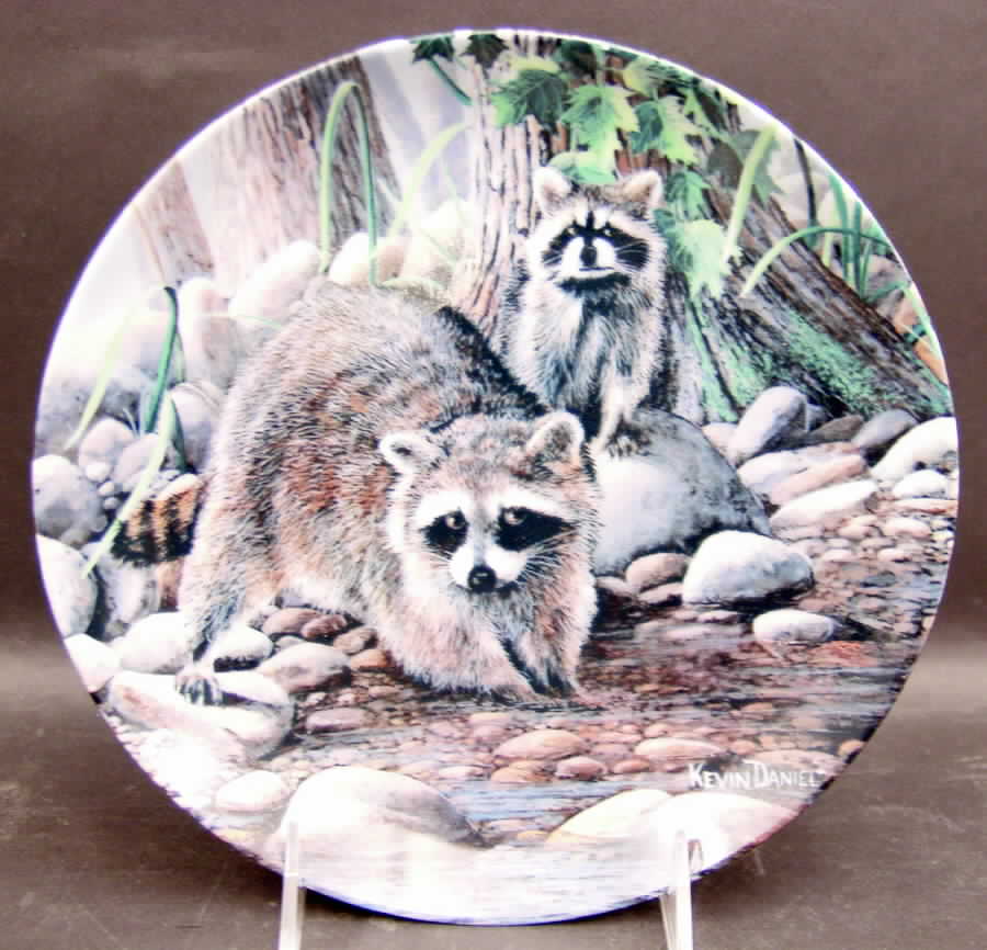 Friends of the Forest Raccoon - Boxed by Edwin Knowles-1