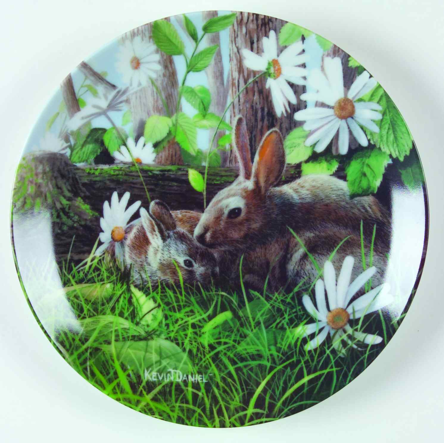 Friends of the Forest Rabbit - No Box by Edwin Knowles-1