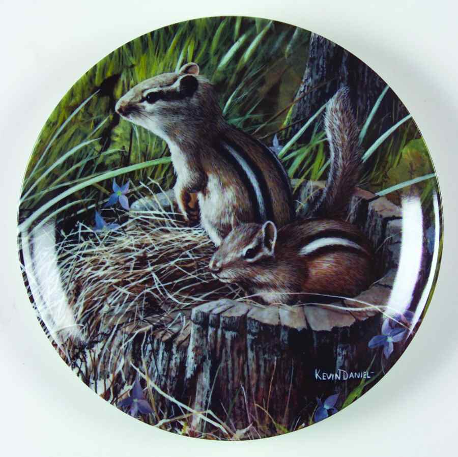 Friends of the Forest Chipmunk - Boxed by Edwin Knowles-1