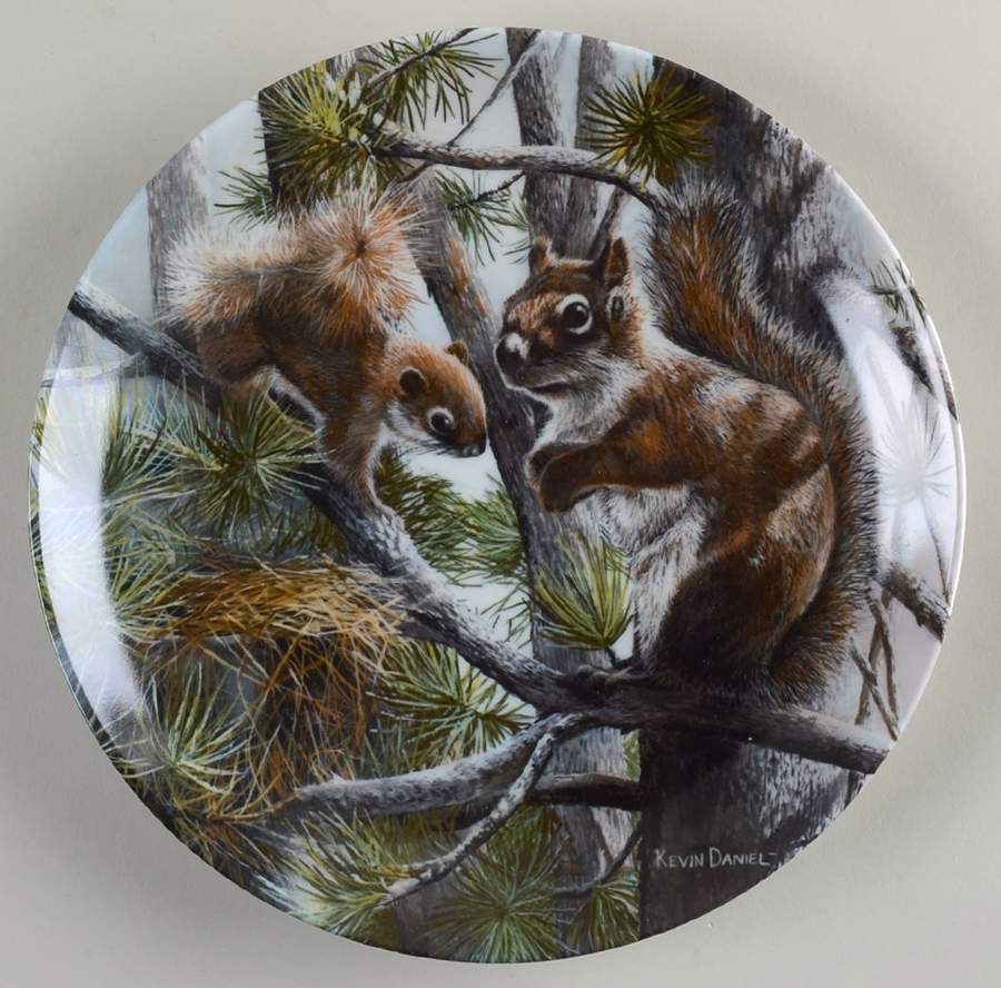Friends of the Forest Squirrel - Boxed by Edwin Knowles-1