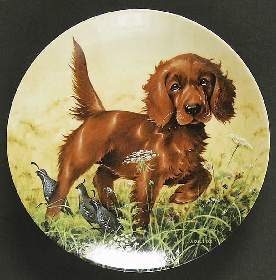 Field Puppies Missing The Point-Irish Setter - No Box by Edwin Knowles-1