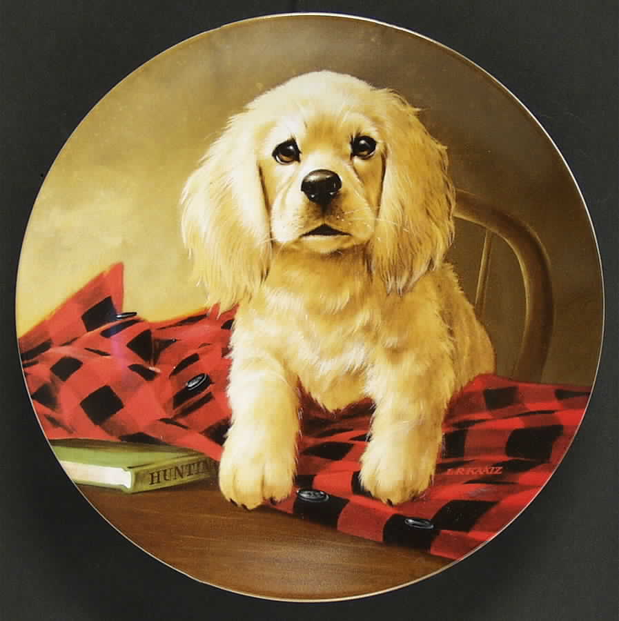 Field Puppies Shirt Tales-Cocker Spaniel - Boxed by Edwin Knowles-1