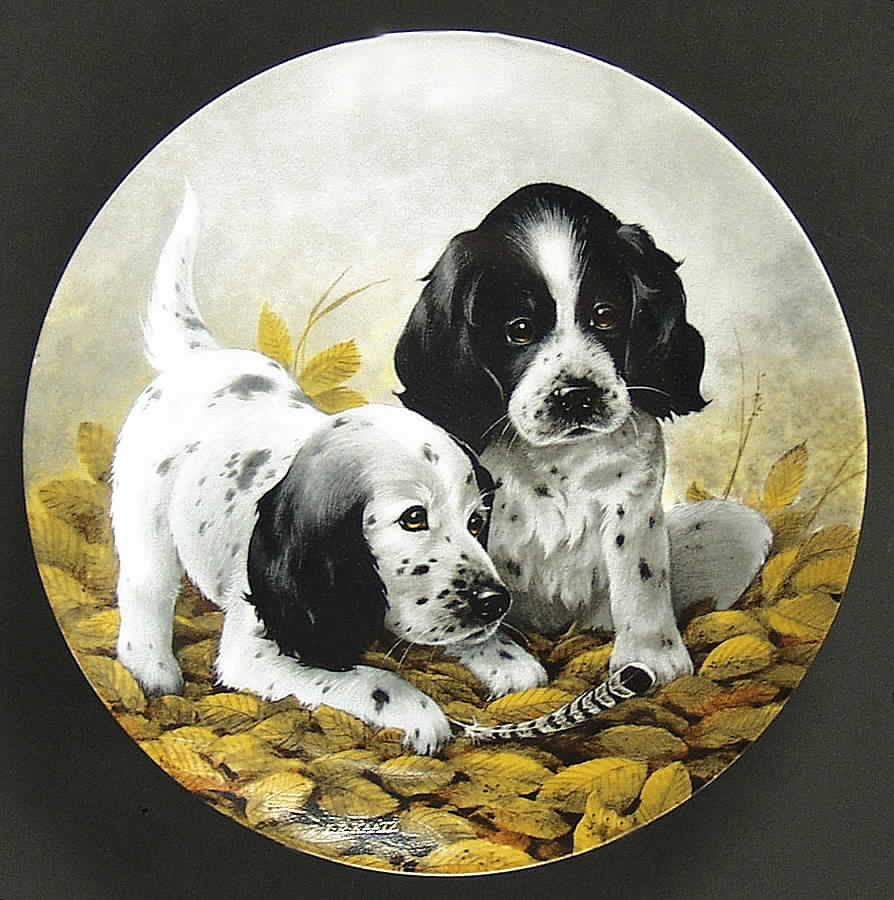 Field Puppies Fine Feathered Friends-English Setter - Boxed by Edwin Knowles-1