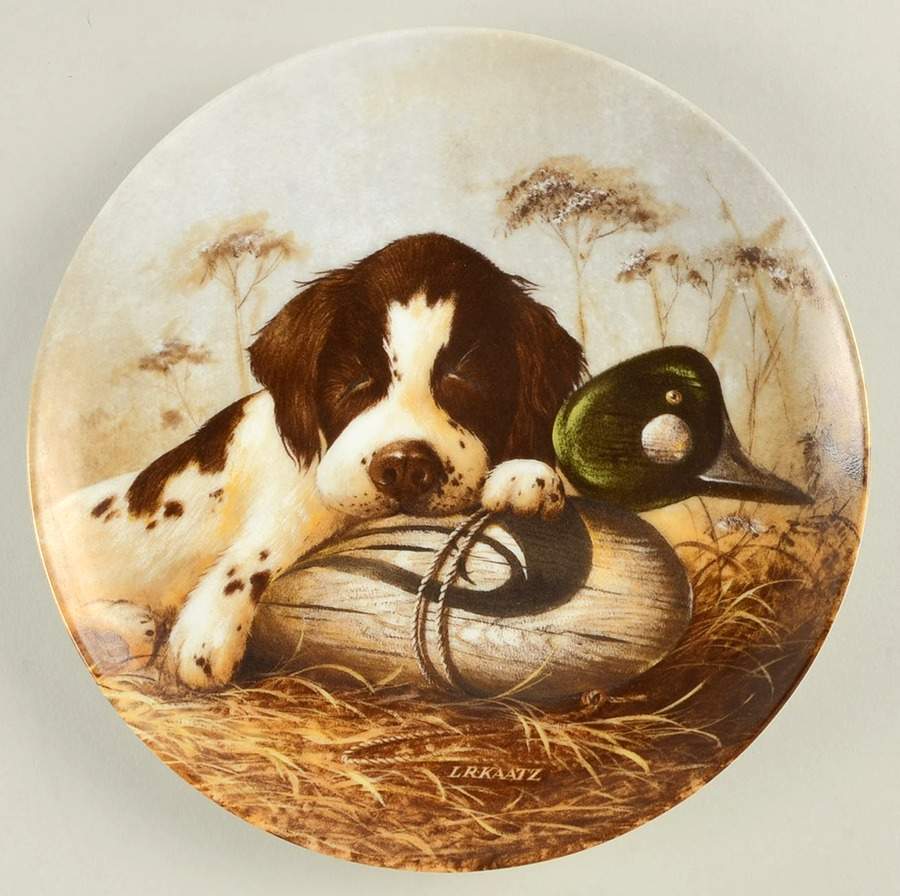 Field Puppies Dog Tired-Springer Spaniel - No Box by Edwin Knowles-1