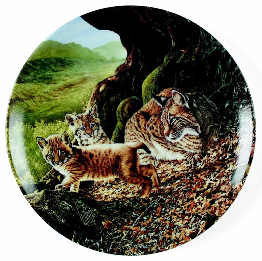 Great Cats of The Americas Bobcat - Boxed by Edwin Knowles-1
