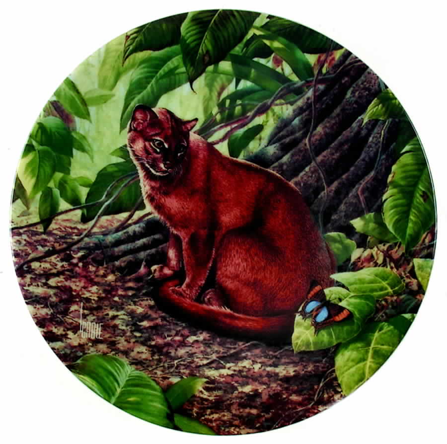 Great Cats of The Americas Jaguarundi - Boxed by Edwin Knowles-1