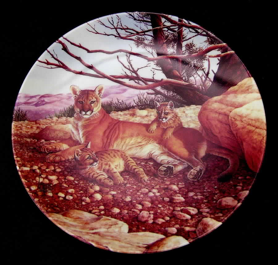 Great Cats of The Americas Cougar - Boxed by Edwin Knowles-1