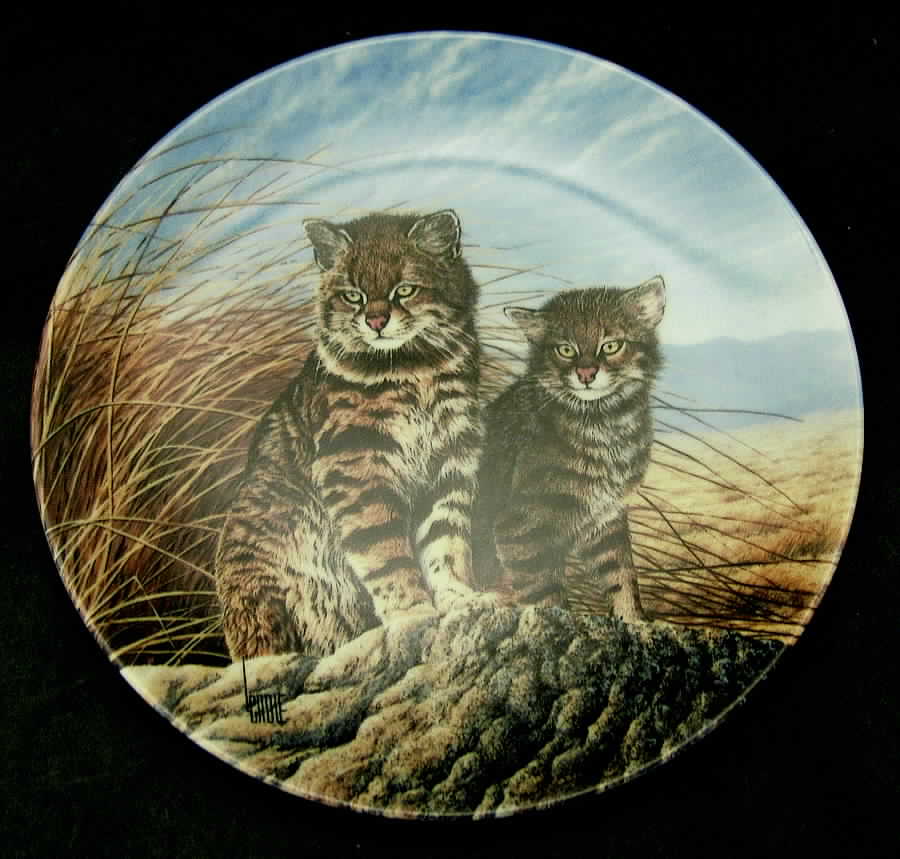 Great Cats of The Americas Pampas Cat - Boxed by Edwin Knowles-1