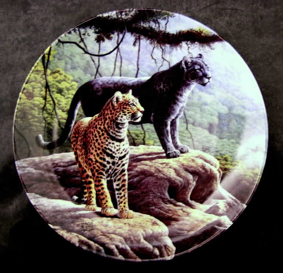 Great Cats of The Americas Jaguar - No Box by Edwin Knowles-1