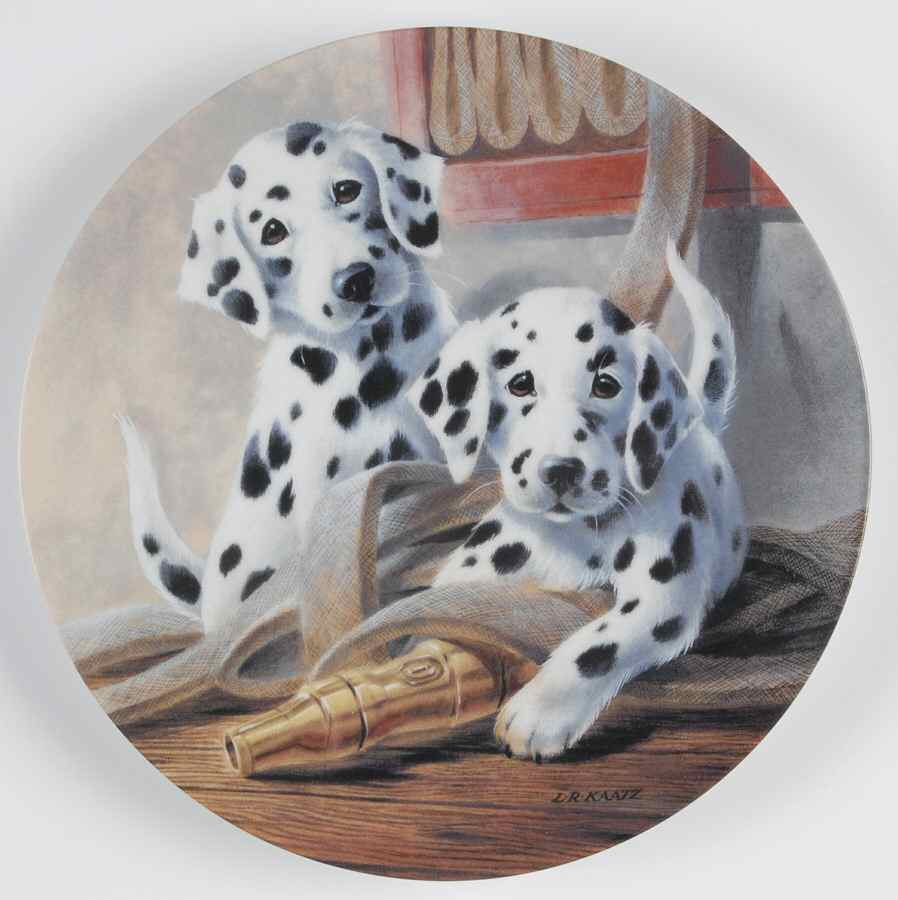 Its A Dogs Life We'Ve Been Spotted - No Box by Edwin Knowles-1