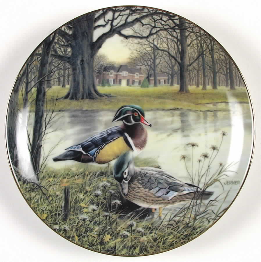 Living with Nature-Jerner's Ducks Wood Duck - No Box by Edwin Knowles-1