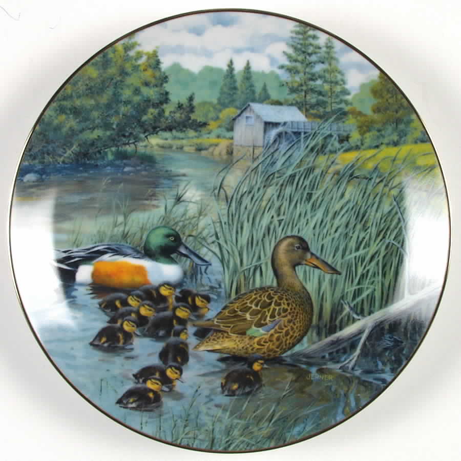 Living with Nature-Jerner's Ducks Northern Shoveler - Boxed by Edwin Knowles-1