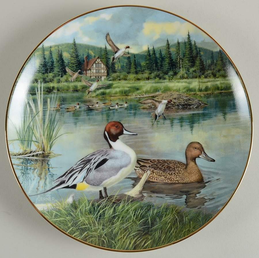 Living with Nature-Jerner's Ducks Pintail - With Box by Edwin Knowles-1