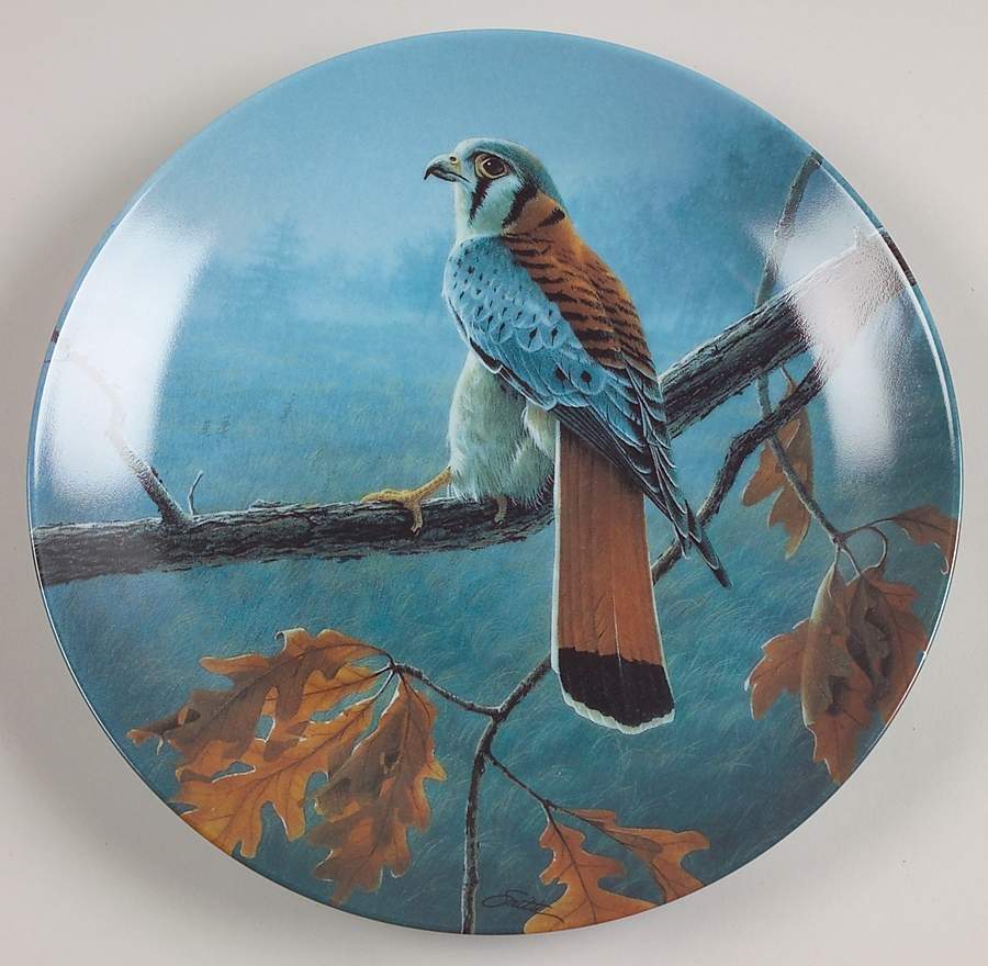 Majestic Birds of North America The American Kestrel - Boxed by Edwin Knowles-1