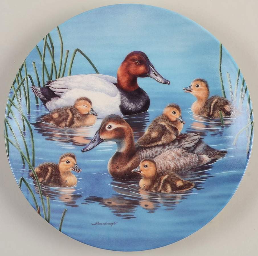 Nature's Nursery Piggyback Ride - No Box by Edwin Knowles-1