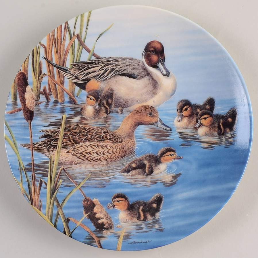 Nature's Nursery Race Ya Mom - No Box by Edwin Knowles-1