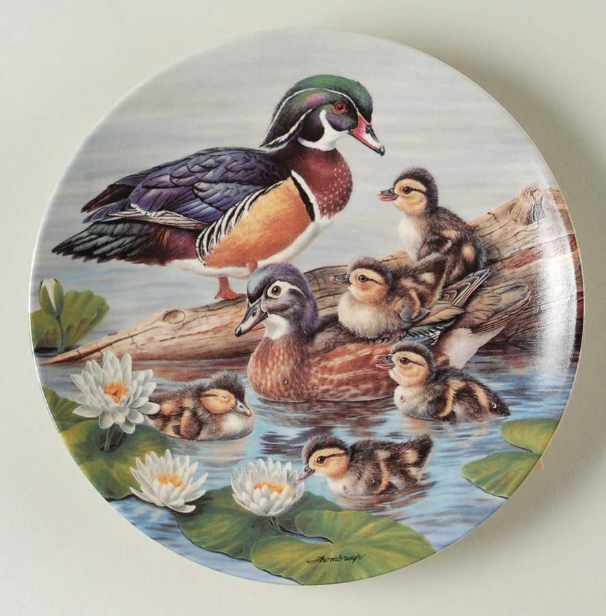 Nature's Nursery Testing The Waters - No Box by Edwin Knowles-1