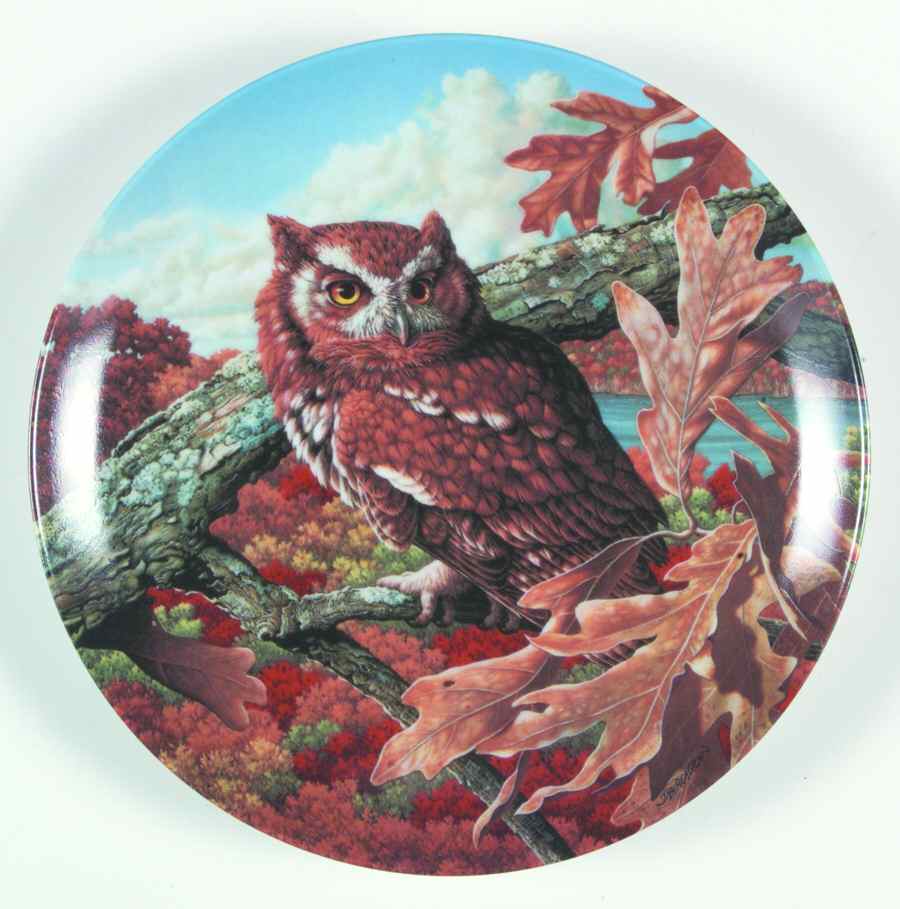 Stately Owls The Eastern Screech Owl - Boxed by Edwin Knowles-1